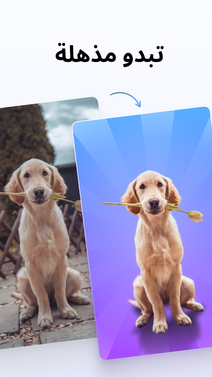مراجعة تطبيق PhotoRoom: محرر الصور الذكي لإزالة الخلفيات باحترافية 4 unnamed 15